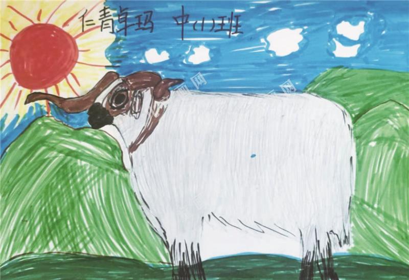 小羊奇奇