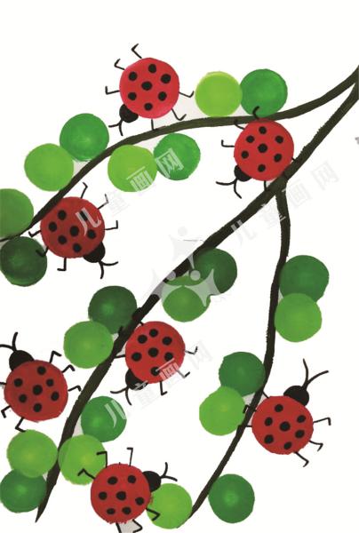 可爱的七星瓢虫