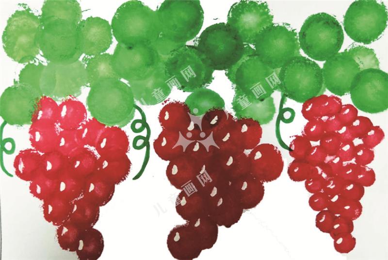 红提葡萄