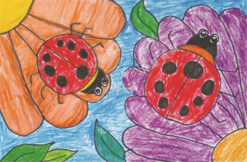 停留在花瓣上的瓢虫