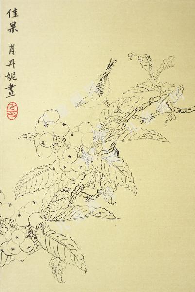 佳果