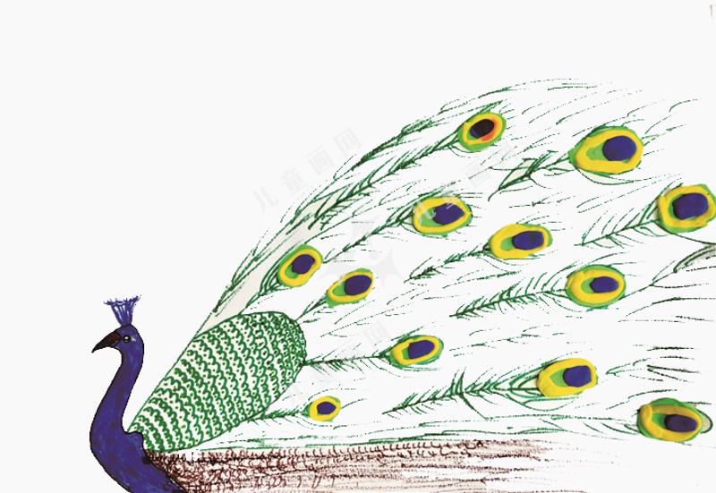 美丽的孔雀