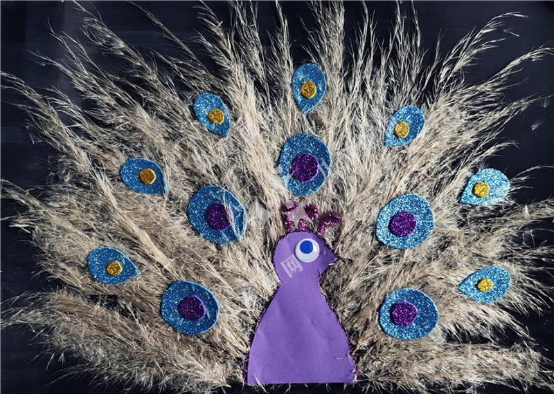 汪庄幼儿园的孔雀