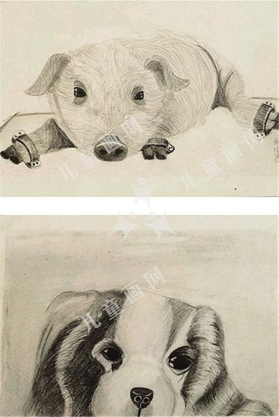 动物组画