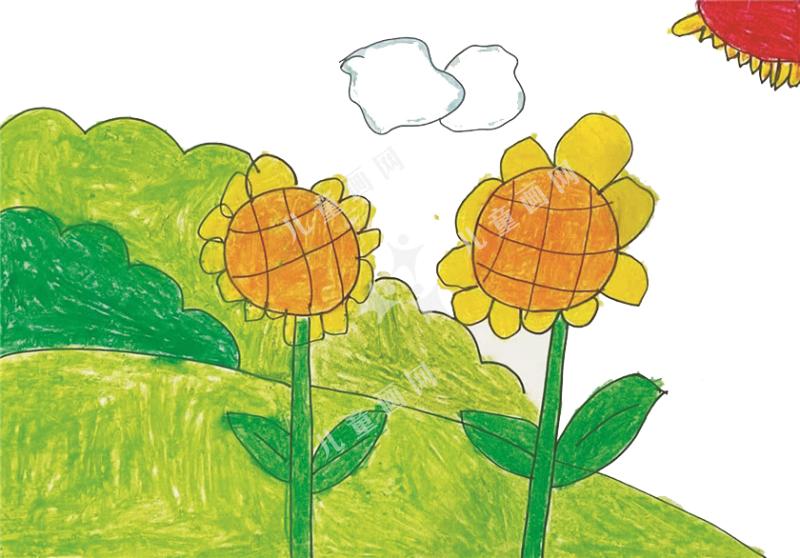 金灿灿的向日葵