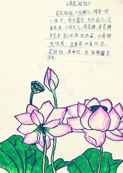 荷花娃娃