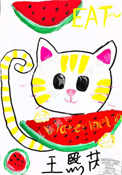 猫咪吃西瓜