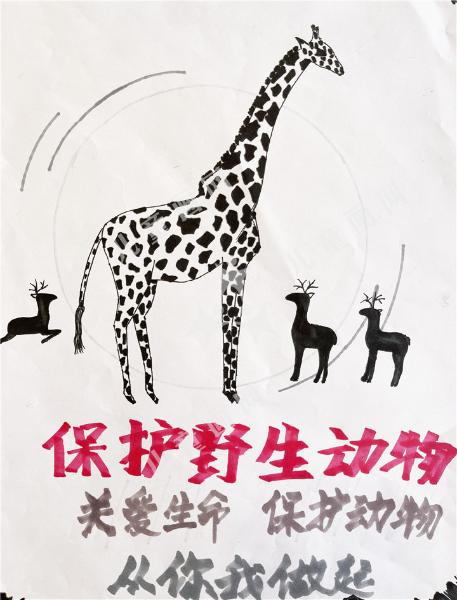 保护野生动物