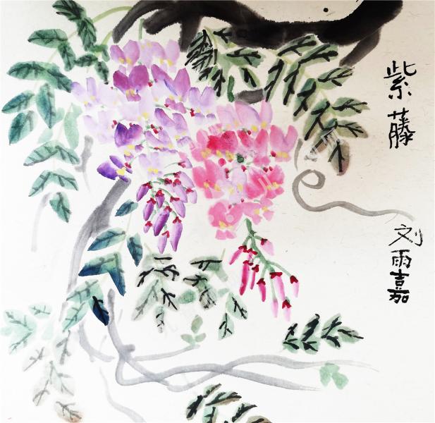 紫藤