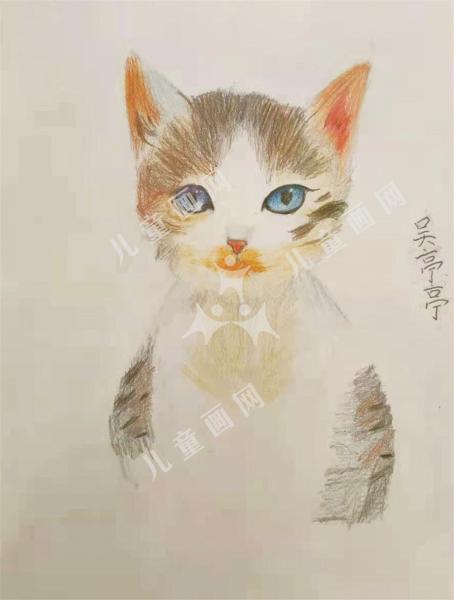 小猫咪