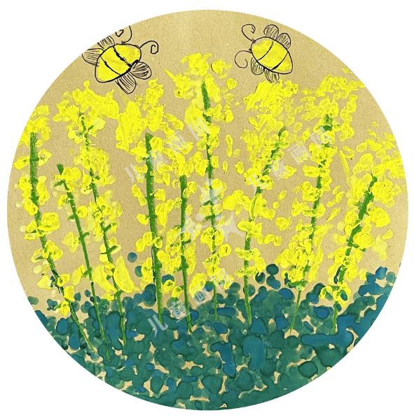 美丽的油菜花