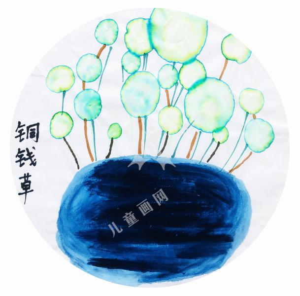 铜钱草