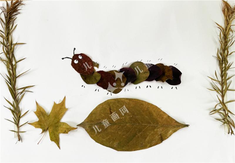 草丛中的毛毛虫