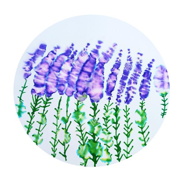 薰衣草