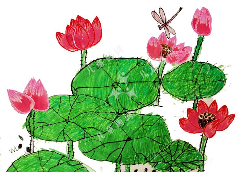 小荷才露尖尖角