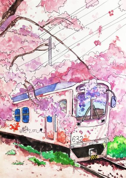 樱花列车