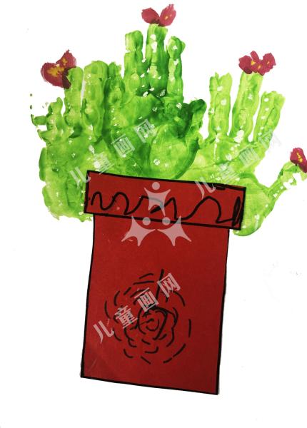 我家仙人掌开花了