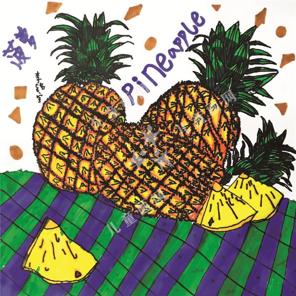 菠萝写生
