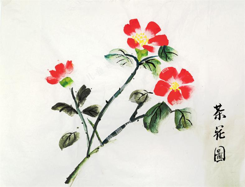 茶花图