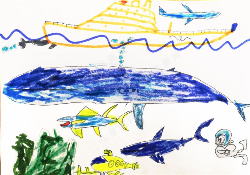 我爱神奇的大海