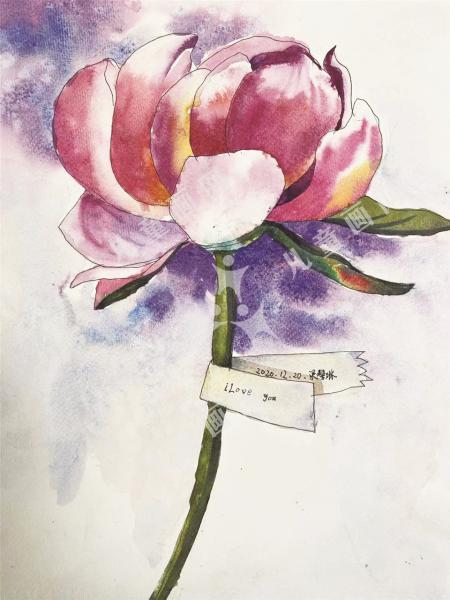 静待花开