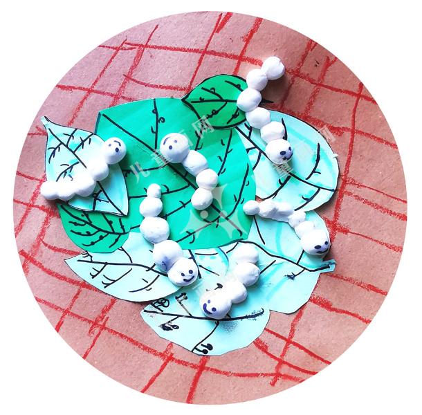 可爱的蚕宝宝