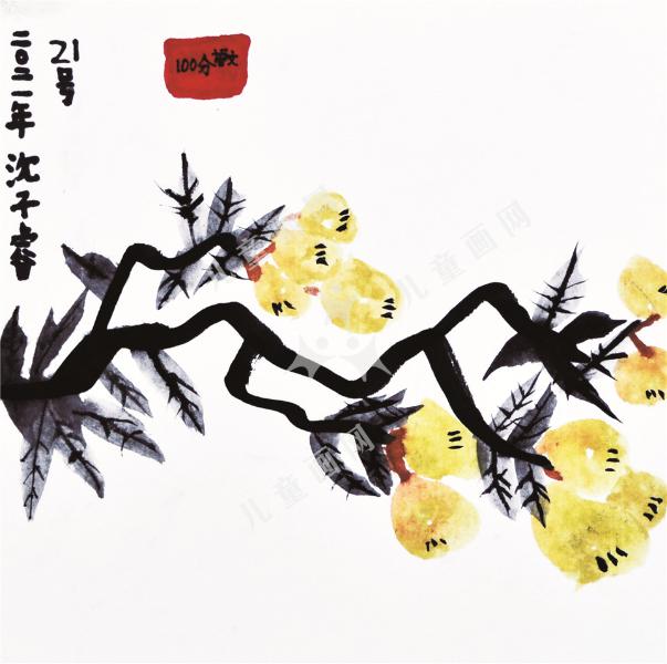 枇杷