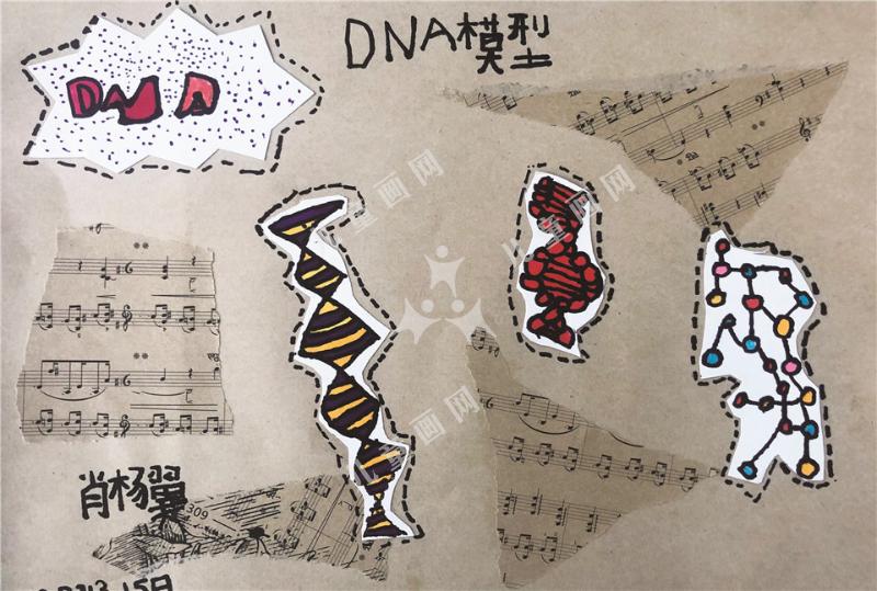 DNA模型