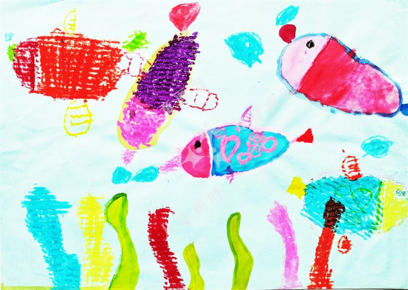 美丽的海底世界