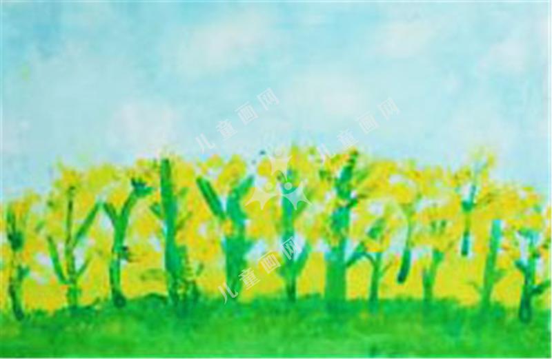 油菜花开了