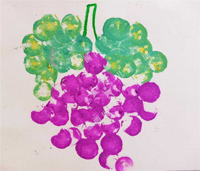 葡萄