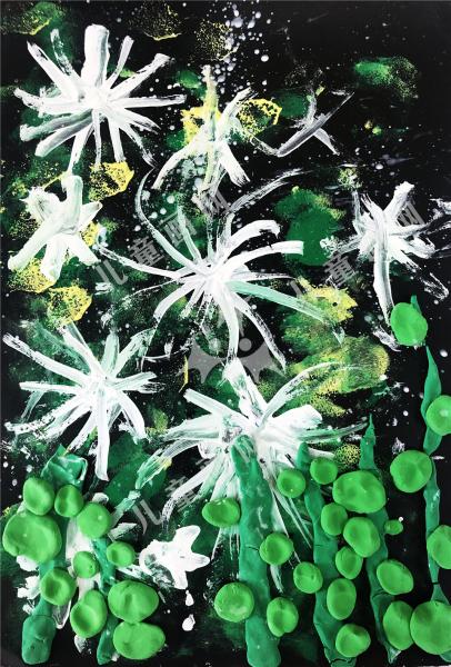 田野里的蒲公英