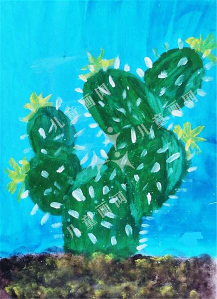 沙漠里的仙人掌