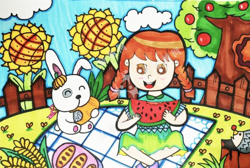 我和兔子的野餐