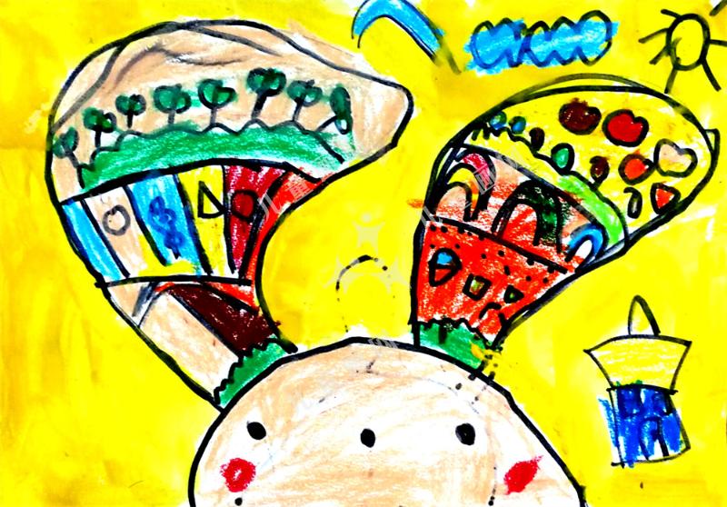 耳朵穿袜子的兔子