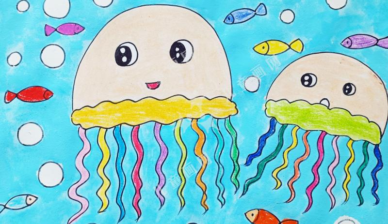 水母宝宝
