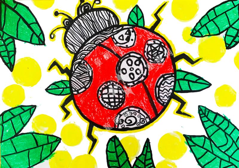 漂亮的七星瓢虫