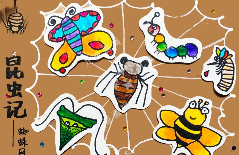 昆虫记——蜘蛛网