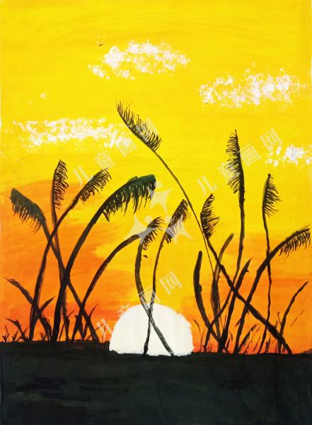 夕阳下的芦苇