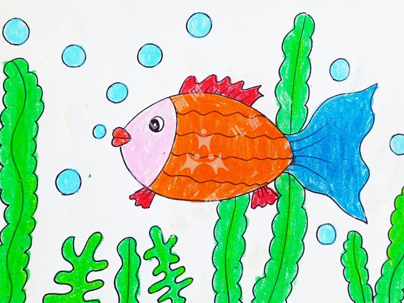 可爱的小鱼