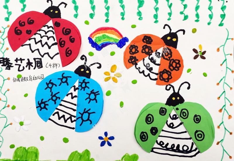 多彩的七星瓢虫