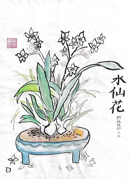 水仙花