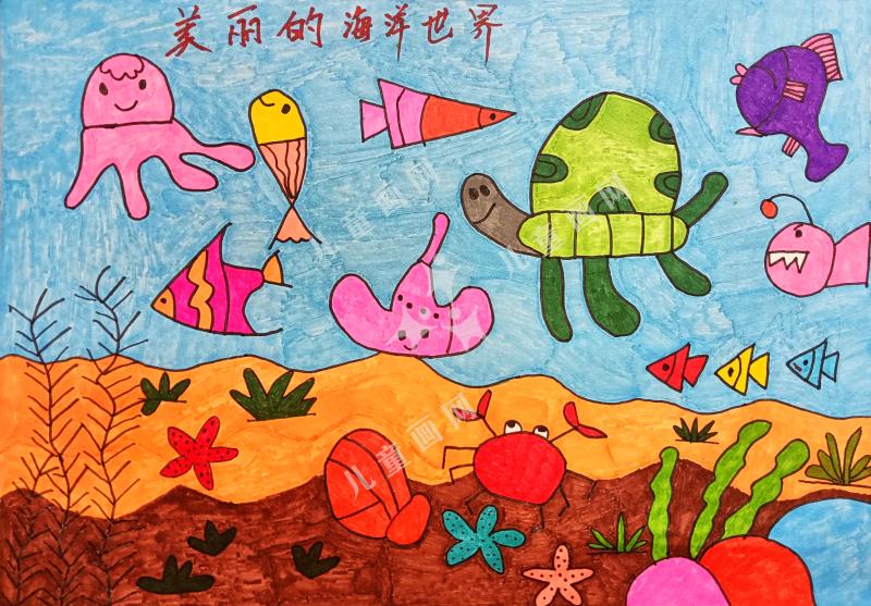 美丽的海底世界
