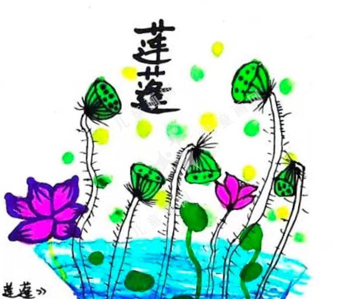 莲蓬
