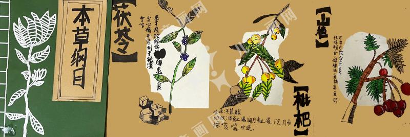 本草纲目