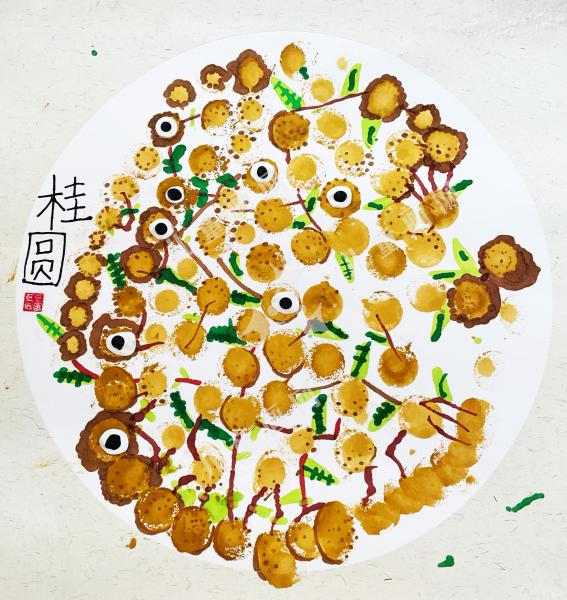 甜甜的桂圆
