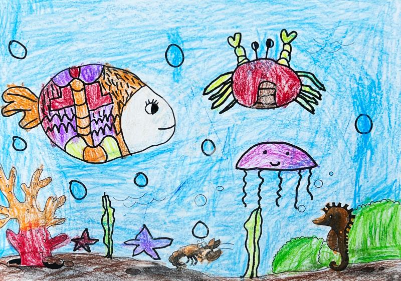 海底生物