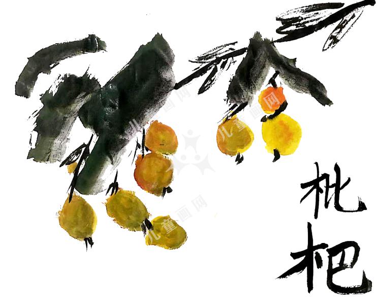 枇杷