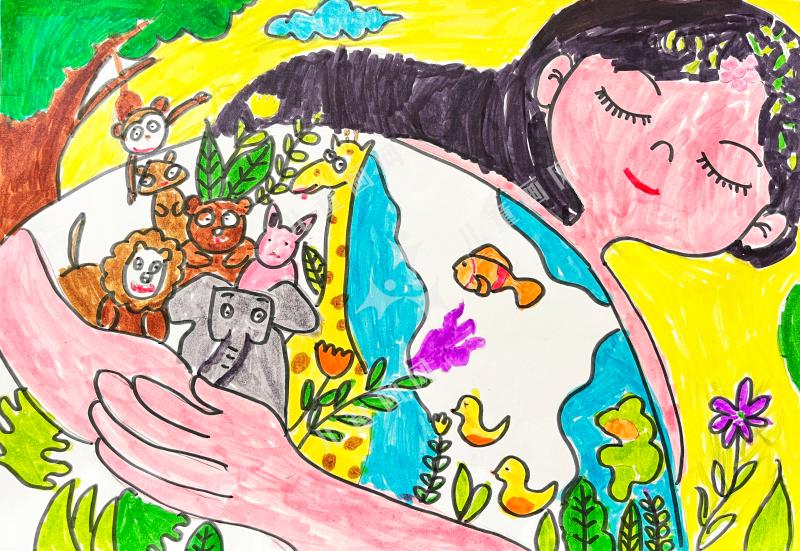 我与动物是朋友