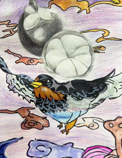 创意飞鸟
